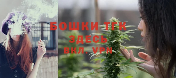 дмт Белокуриха