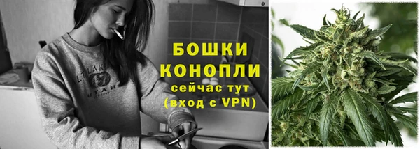 дмт Белокуриха