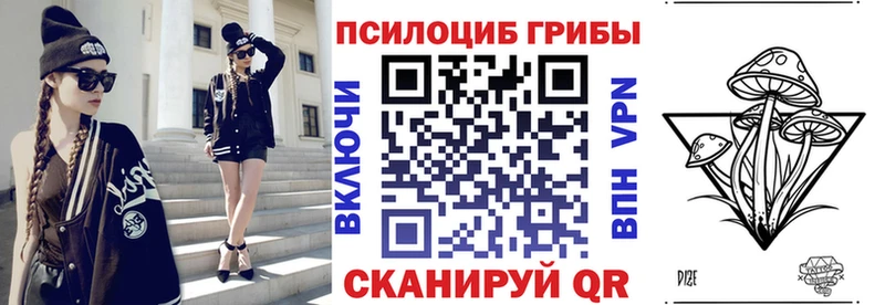 mega зеркало  Тюкалинск  Псилоцибиновые грибы прущие грибы  купить наркотик 
