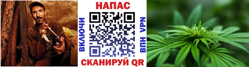 Бошки Шишки марихуана блэк спрут ссылка Тюкалинск